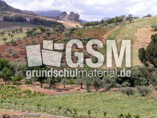 Sizilien (147 von 565).jpg